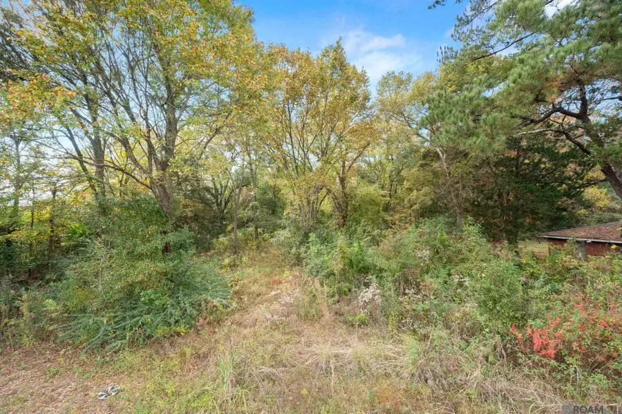 10550-10600 Elm Grove Garden Dr, Baton Rouge, LA 70807 - Image #3