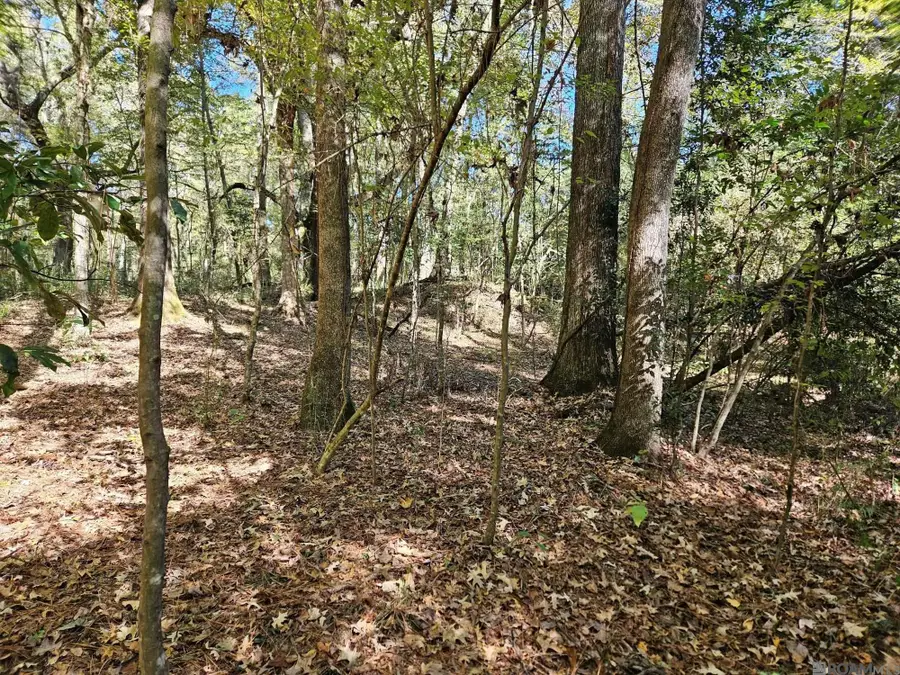 TBD Tunica Trace, Saint Francisville, LA 70775 - Image #2