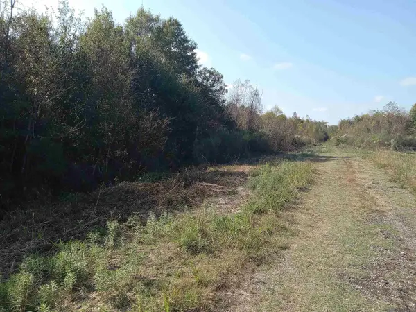 Rue Orleans, Livingston, LA 70744