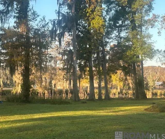 14257 Old River Rd, Maurepas, LA 70449 - Image #1