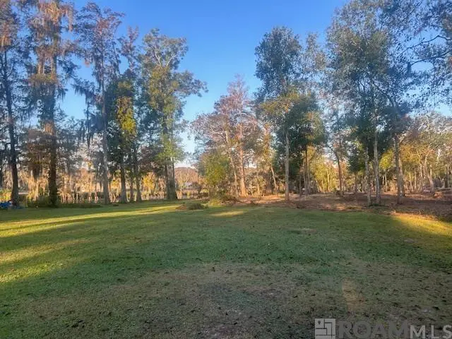 14275 Old River Rd, Maurepas, LA 70449 - Image #2