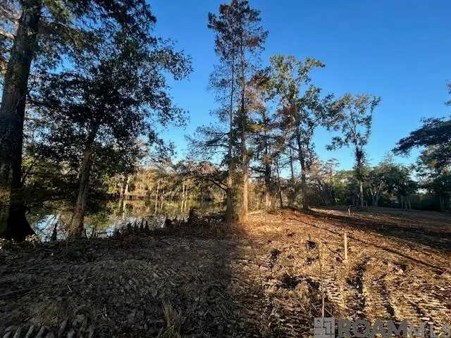 14281 Old River Rd, Maurepas, LA 70449 - Image #3