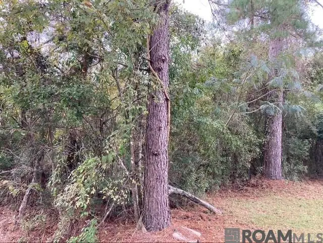 Lot 13 & 14 Lucien St, Denham Springs, LA 70726 - Image #1