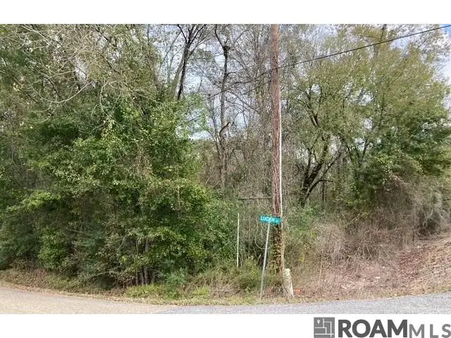 Lot 22 Lucien St, Denham Springs, LA 70726 - Image #2
