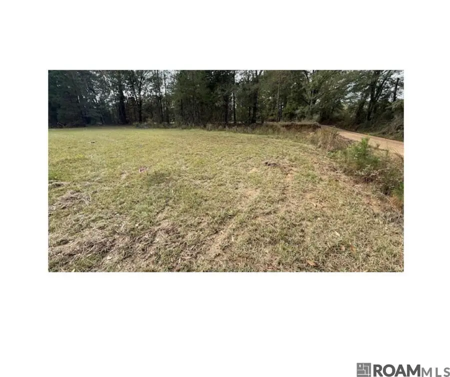 TBD Felix Lee Rd, Ethel, LA 70737 - Image #2