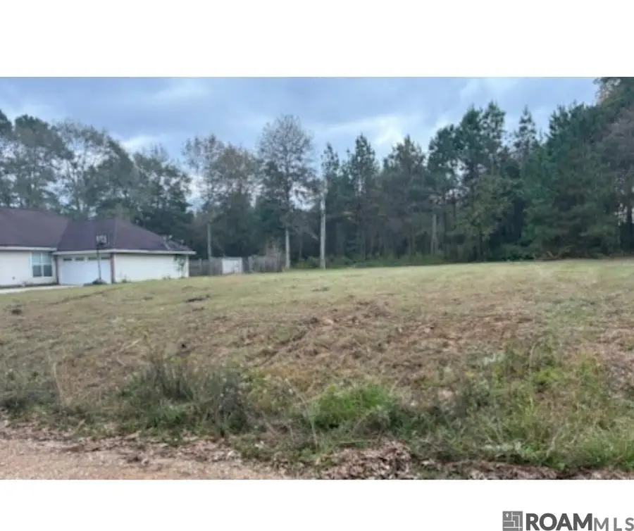 TBD Felix Lee Rd, Ethel, LA 70737 - Image #3