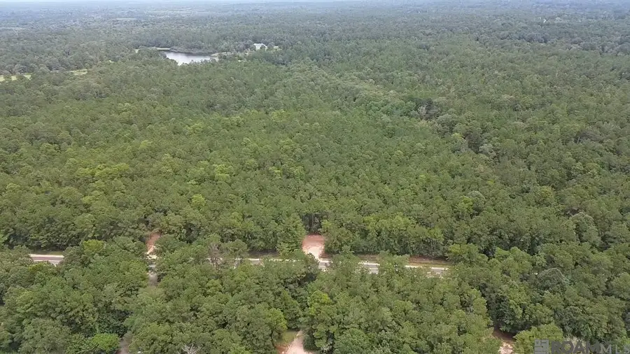 83234 Isabel Swamp Road, Bush, LA 70431 - Image #3