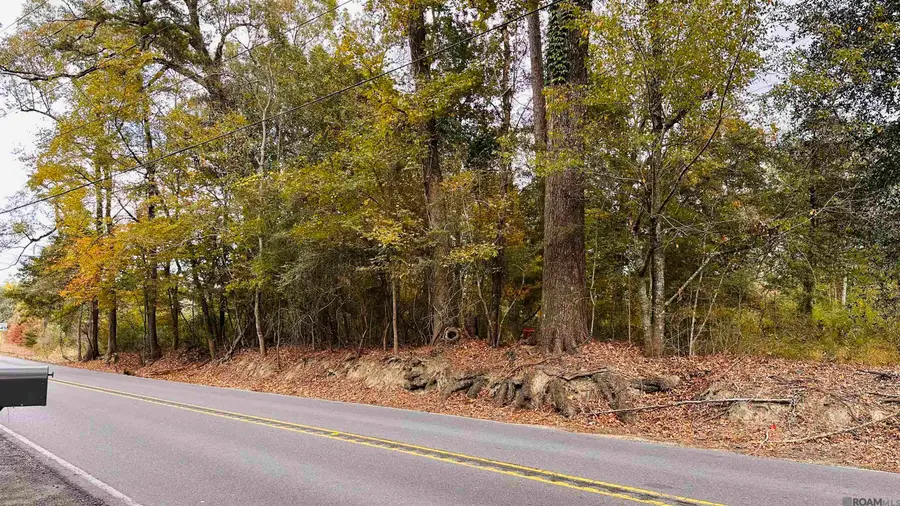 Tract C-1 La Hwy 1032, Denham Springs, LA 70726 - Image #3