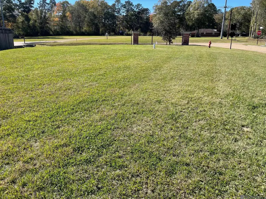 22-A Magnolia Garden Ct, Denham Springs, LA 70726 - Image #3