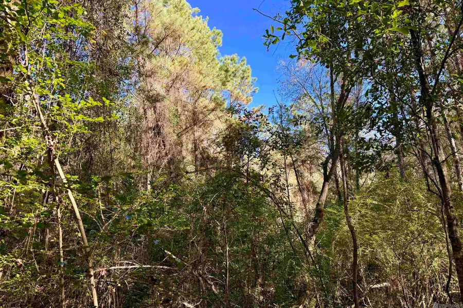 01 Bobcat Lane, Amite, LA 70422 - Image #2