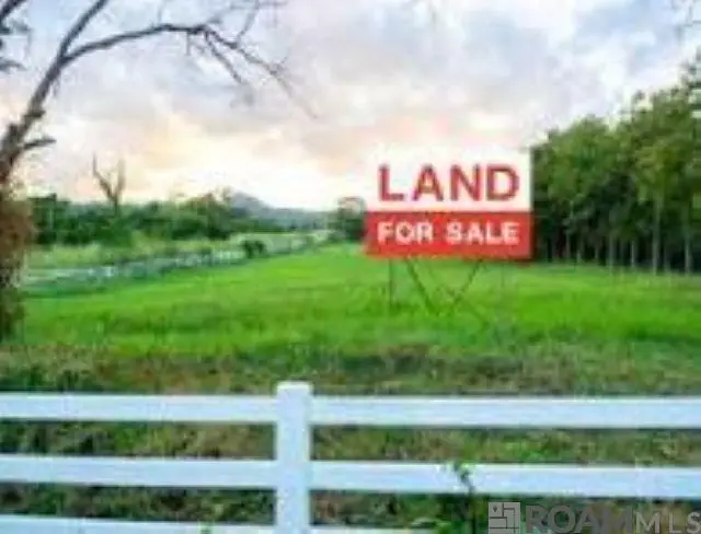 TBD Weiss Rd, Walker, LA 70785 - Image #1