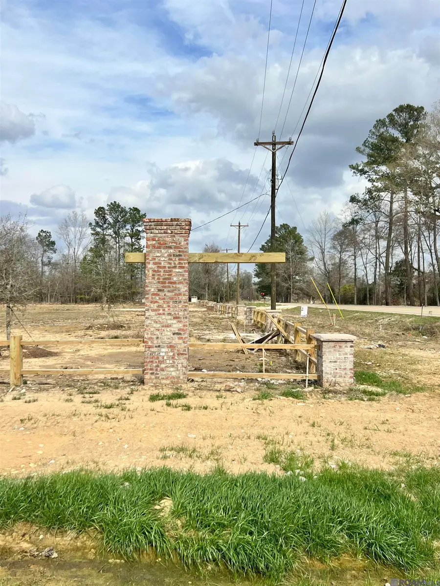 Lot 12 Honey Grove, Livingston, LA 70754 - #2