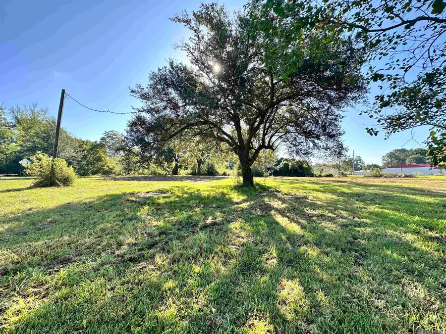 13168 Hwy 44, Gonzales, LA 70737 - #2