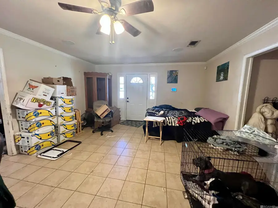 1059 Willow Brook Ave, Denham Springs, LA 70726 - Image #3