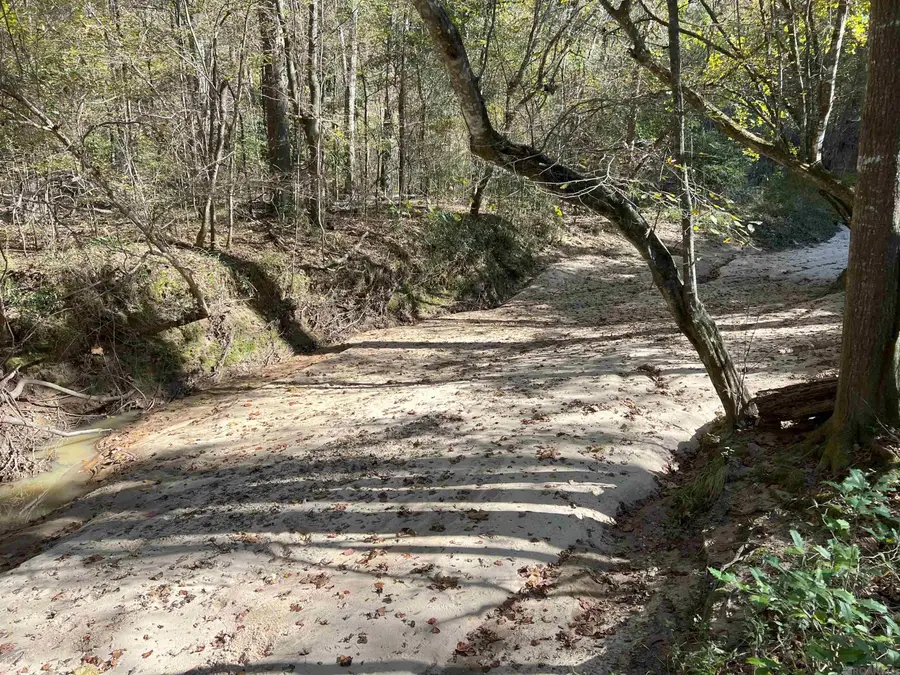 TBD (179.57 Ac) Tunica Trace, Saint Francisville, LA 70775 - Image #2