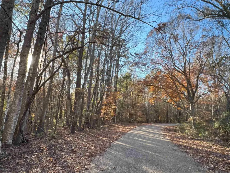 TBD (123.20 Ac) Ouida Irondale Rd, Saint Francisville, LA 70775 - Image #2