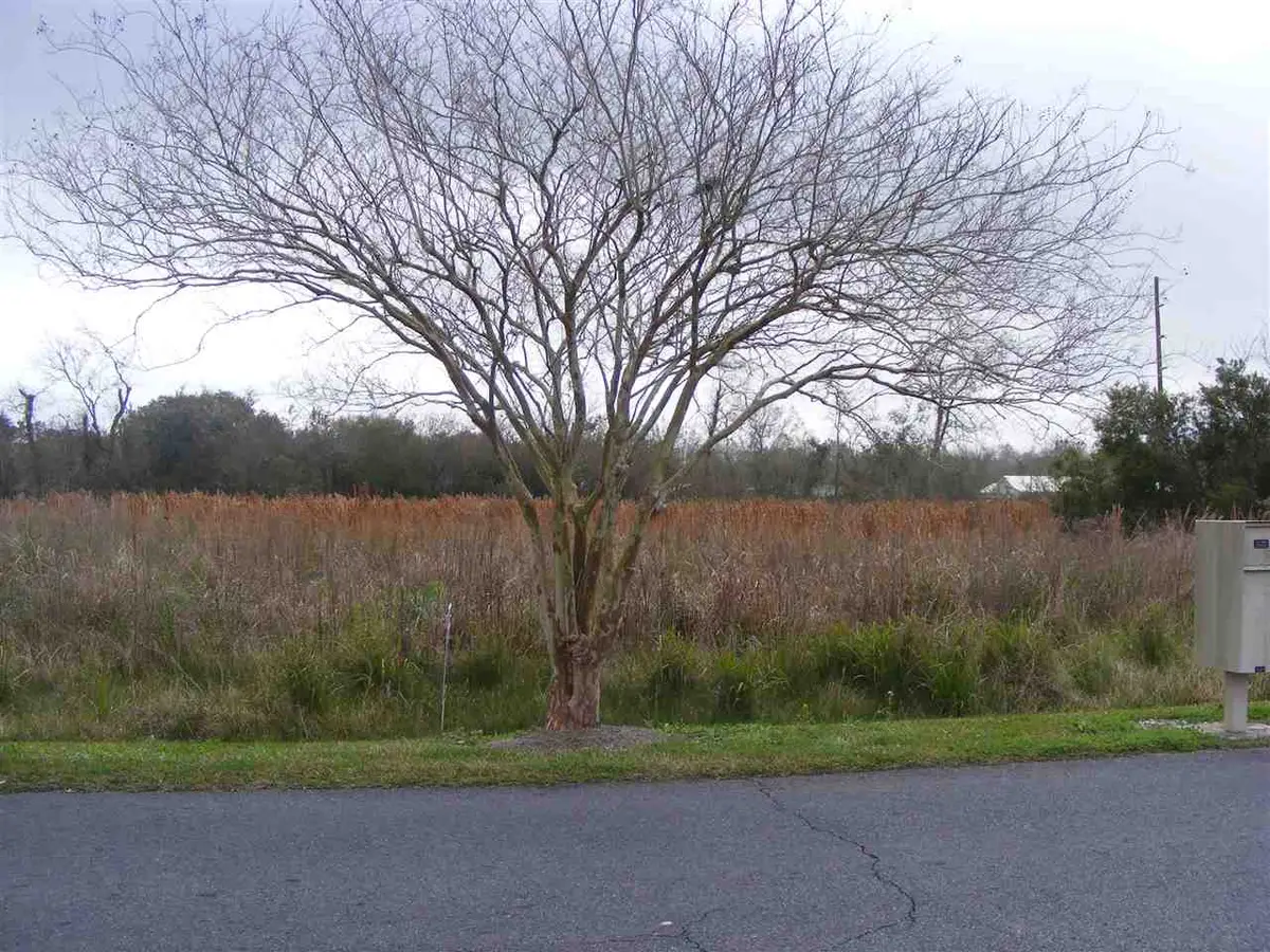 TBD-2 West 134th Place, Cut Off, LA 70345 - #1