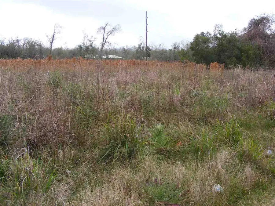 TBD-2 West 134th Place, Cut Off, LA 70345 - #2