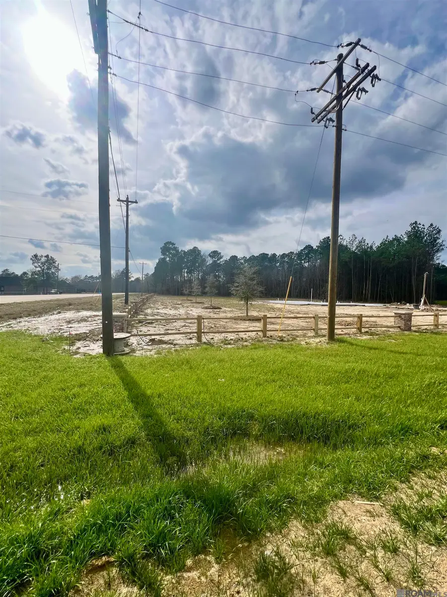 Lot 33 Copper Pass, Livingston, LA 70754 - #3