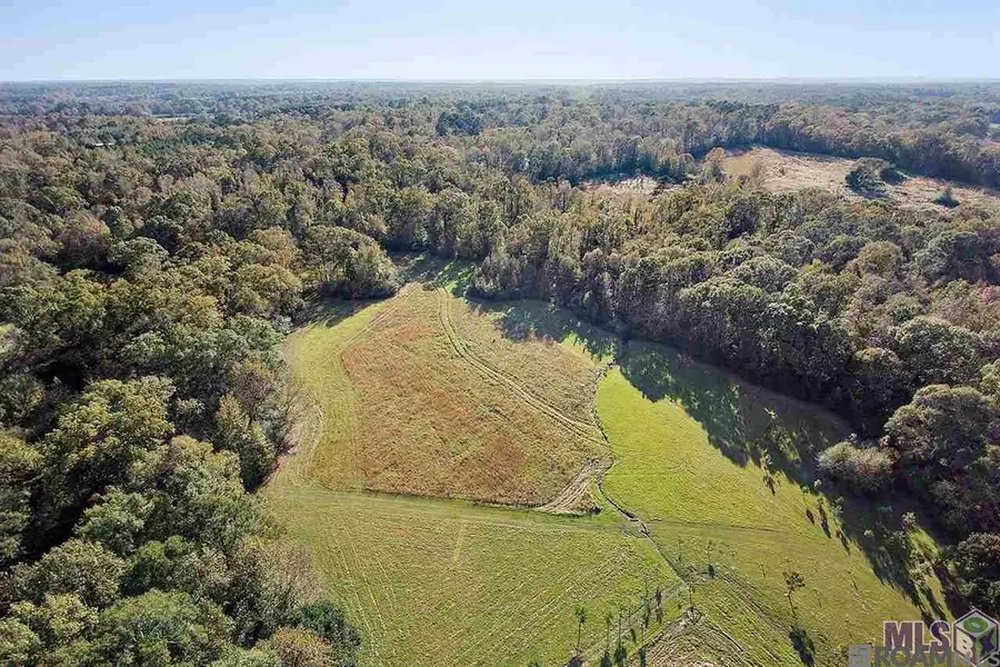 1558 Tommy Whitaker Rd, Saint Francisville, LA 70775 - Image #2