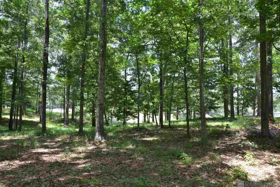 5804 Laurel Hill Ln, Saint Francisville, LA 70775 - Image #2