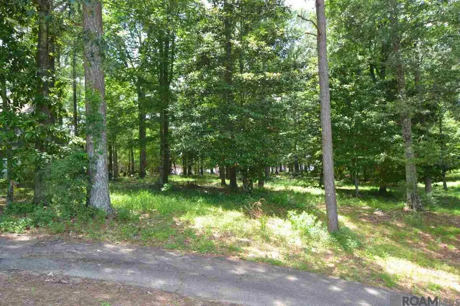 5804 Laurel Hill Ln, Saint Francisville, LA 70775 - Image #3