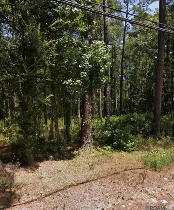 37153 Caraway Rd, Denham Springs, LA 70706