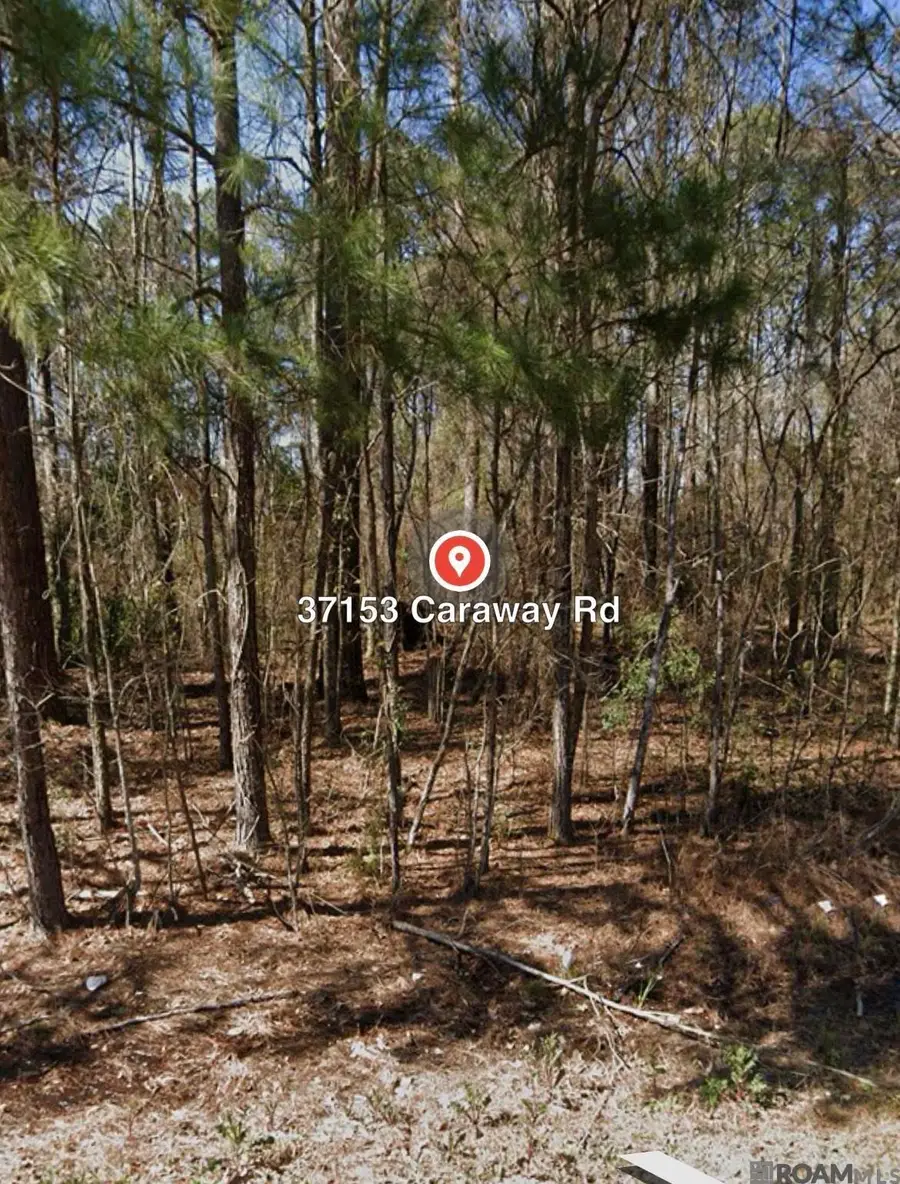 37153 Caraway Rd, Denham Springs, LA 70706 - Image #2