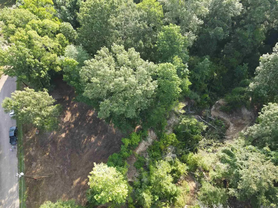 Lot 47 Treakle Dr, Zachary, LA 70791 - Image #3