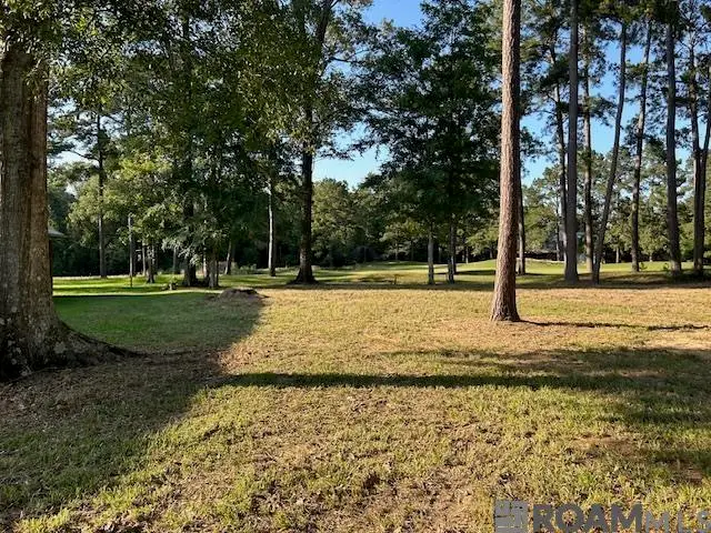 6033 Clayton Ct, Saint Francisville, LA 70775 - Image #3