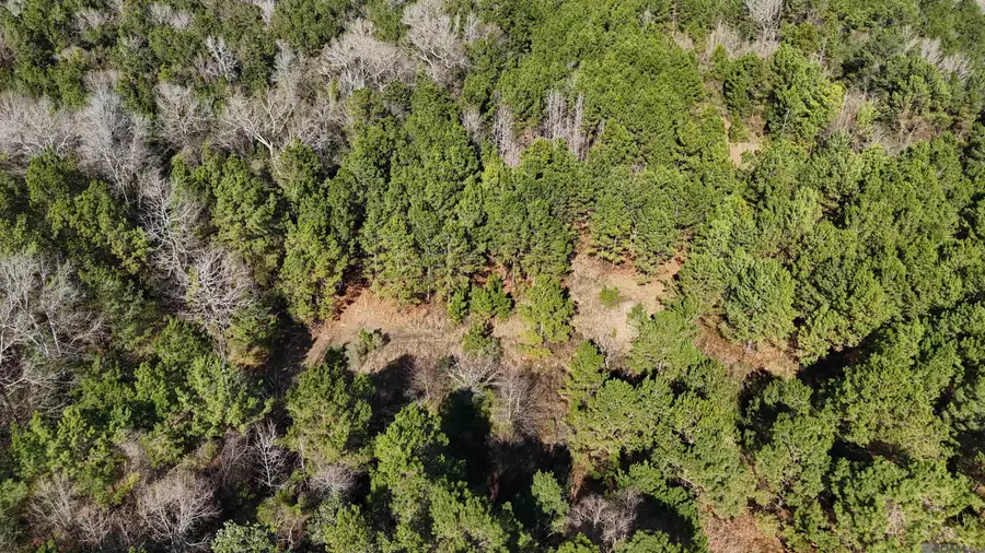 La Hwy 28 E, Boyce, LA 71409 - Image #3