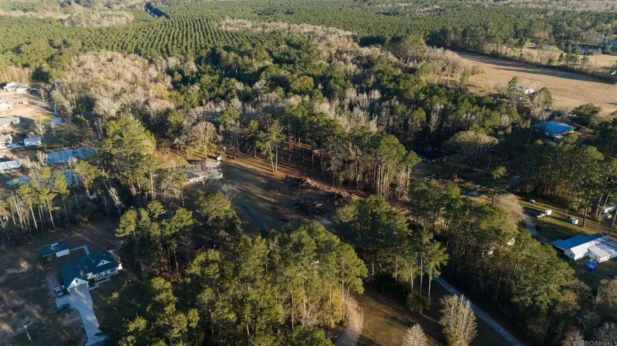 Lot 9-B Weiss Rd, Walker, LA 70785 - #2