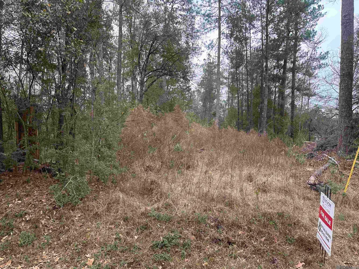 0 Northwood Dr, Hammond, LA 70401 - Image #1