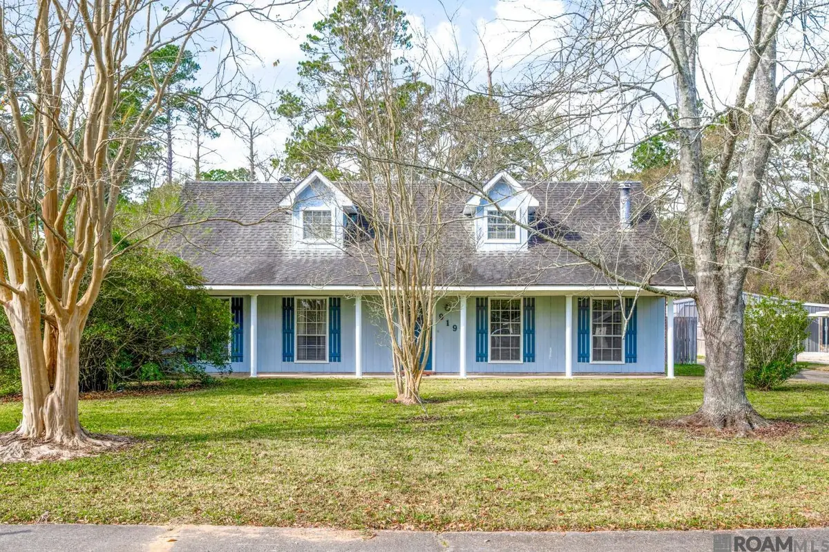919 Willow Brook Ave, Denham Springs, LA 70726 - Image #1