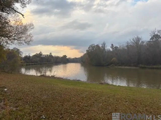 La Hwy 42, Prairieville, LA 70769 - Image #1