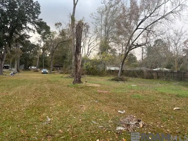 La Hwy 42, Prairieville, LA 70769 - Image #3