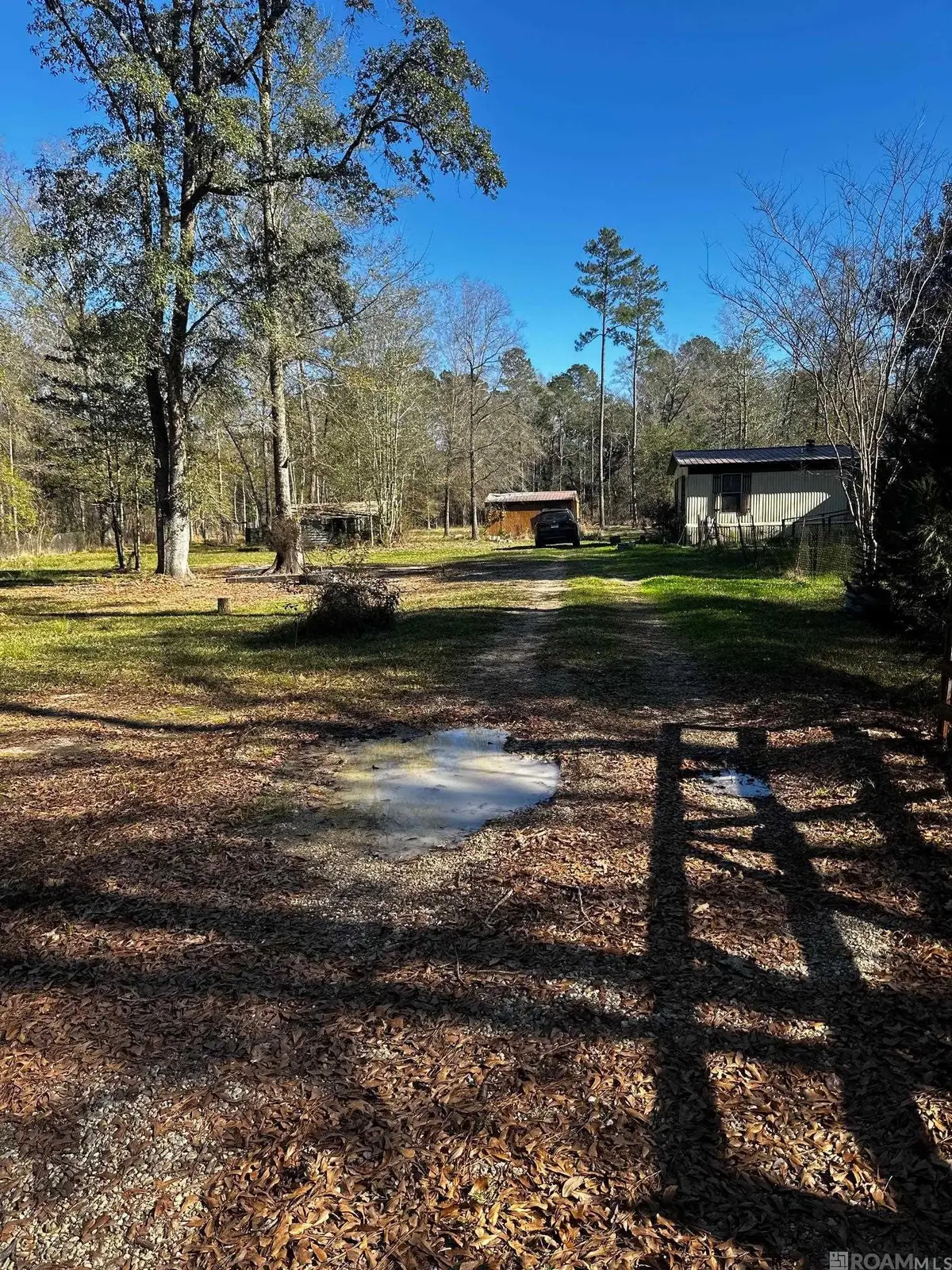 25066 Lobell Road, Livingston, LA 70754 - Image #1