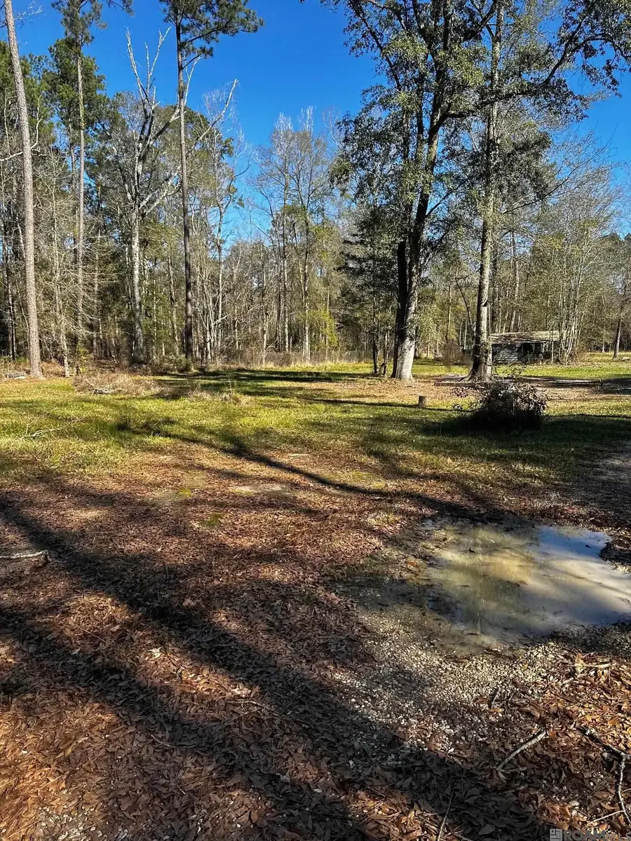 25066 Lobell Road, Livingston, LA 70754 - Image #2