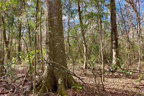 20 Lillian Ln, Ethel, LA 70730