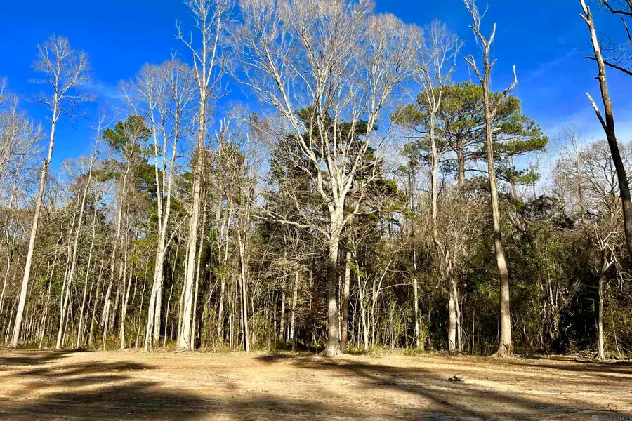 21 Lillian Ln, Ethel, LA 70730 - Image #2