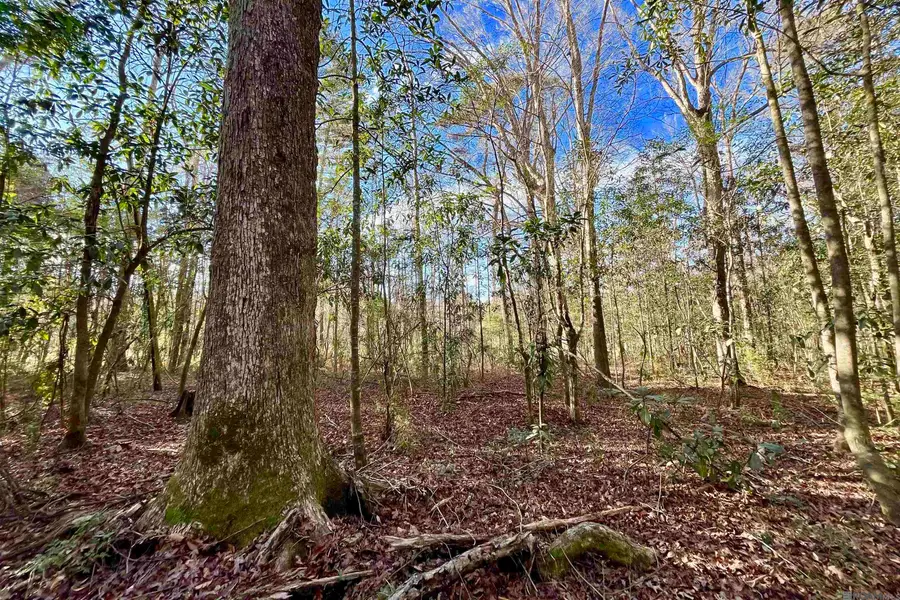 21 Lillian Ln, Ethel, LA 70730 - Image #3