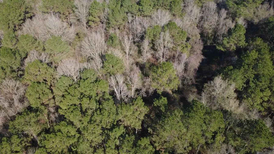 0000 Mcgehee Rd, Bogalusa, LA 70427 - Image #2