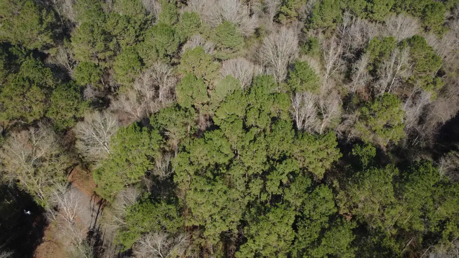 0000 Mcgehee Rd, Bogalusa, LA 70427 - Image #3