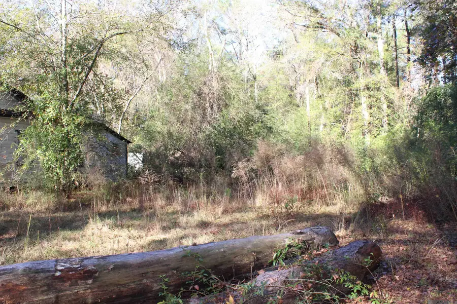 17502 Mcgehee Rd, Bogalusa, LA 70427 - Image #3