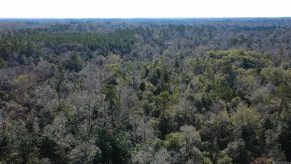 0000 Mcgehee Rd, Bogalusa, LA 70427