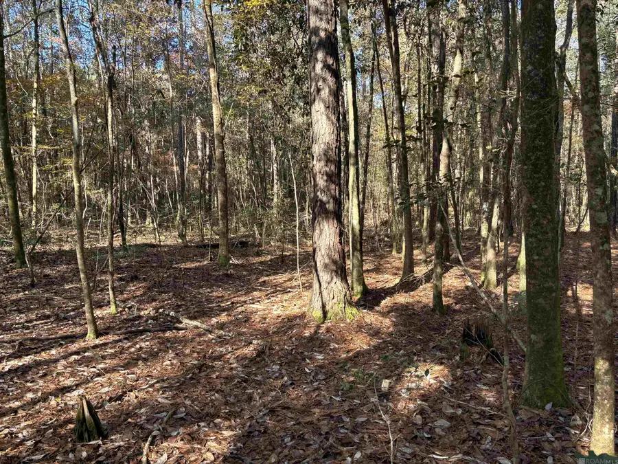 0000 Mcgehee Rd, Bogalusa, LA 70427 - Image #2