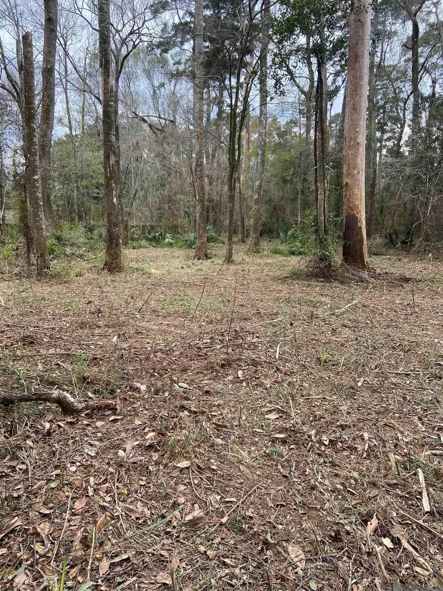 11123 Comeaux Ln, Denham Springs, LA 70726 - Image #3