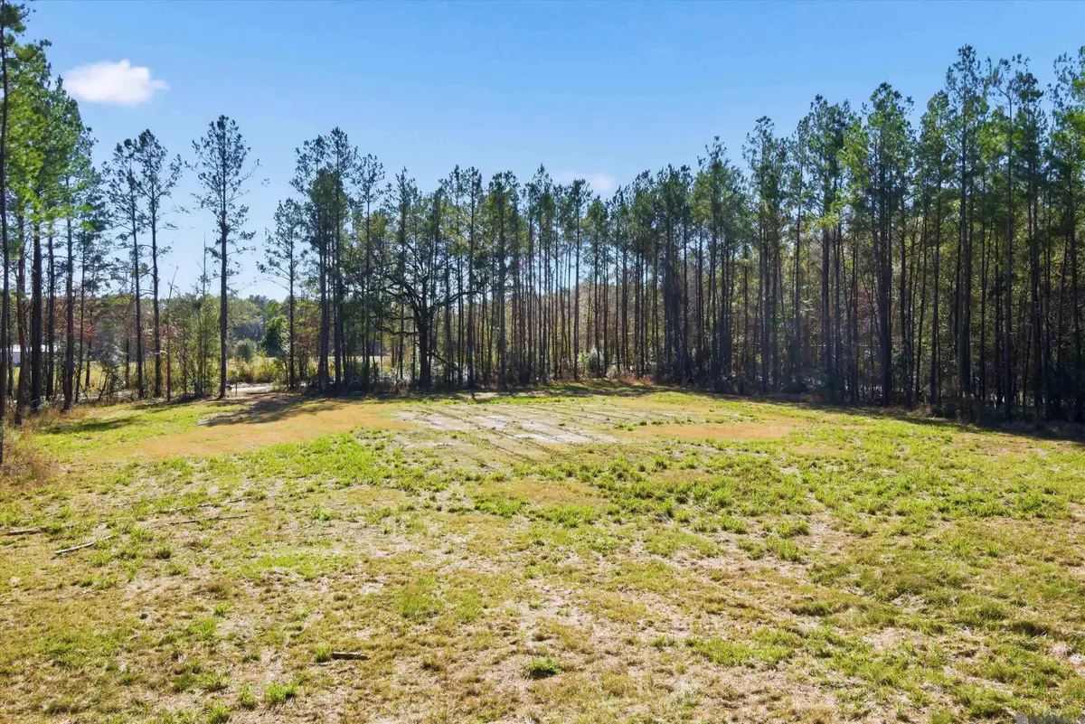 39735 Sand Hill Rd, Walker, LA 70785 - Image #1