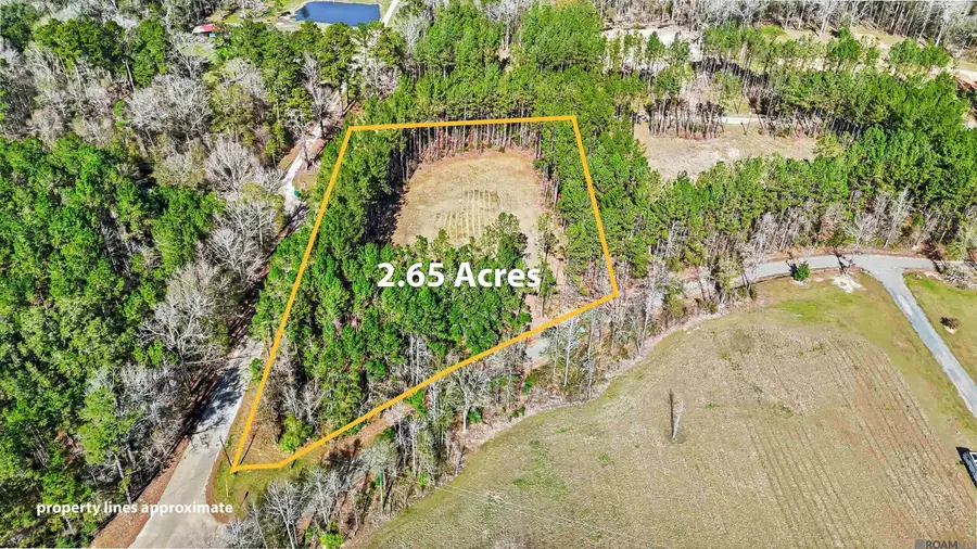 39735 Sand Hill Rd, Walker, LA 70785 - Image #2