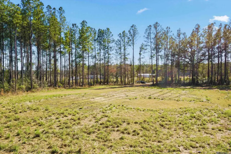 39735 Sand Hill Rd, Walker, LA 70785 - Image #3